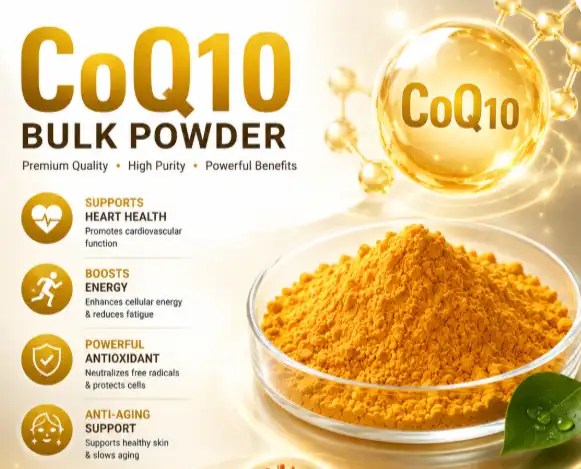 Top Features of a GMP-Certified CoQ10 Bulk Powder Factory